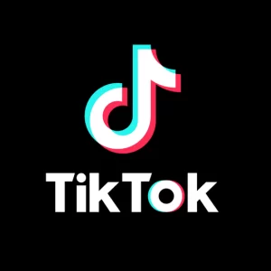Basic TikTok Views