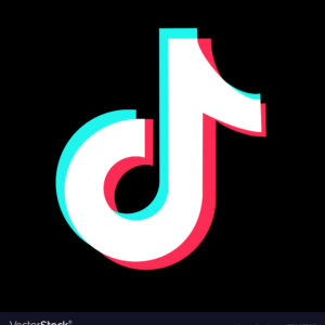 Global TikTok Fans (Basic)